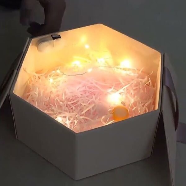 One Led
