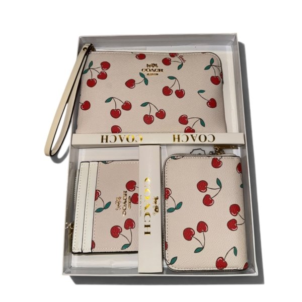 coach wallet set