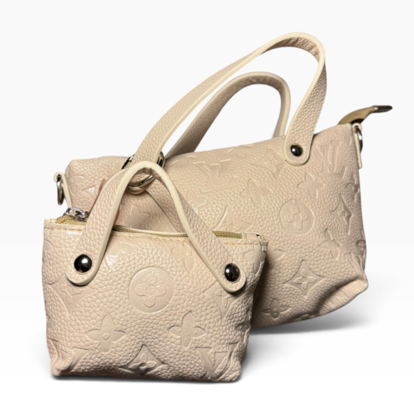 LV Mini twin bag